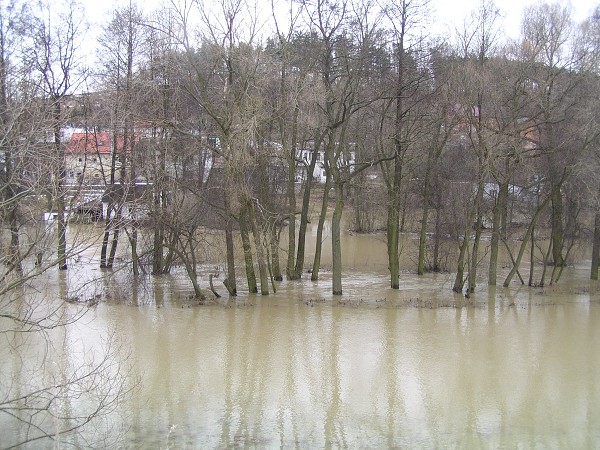 Daice 2005 - beznov povode